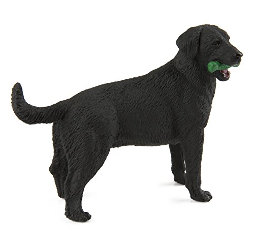 Safari- Miniatura Best in Show Dogs Black Labrador...