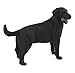 Safari Ltd. Black Labrador Retriever Figurine - Hand-Painted, Lifelike 3.75