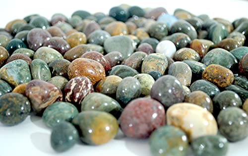 Image of Fancy Pebbles for Decoration and Pebbles for Plants Pots, Table Decor, Home Decor, Vase Fillers - Decorative Pebbles Stones (2.9 Kgs, Fancy Pebbles)
