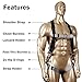KSEIBI 421026 Fall Protection Safety Harness Kit W 3 D-Rings for Lanyard DELUXE Safety Protection Arrest and Carry Bag