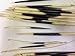 Set of 3 African Porcupine Quills