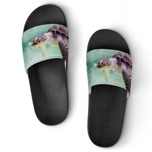 Claquettes femme tortue pour la maison et le bain : vos sandales de détente quotidiennes