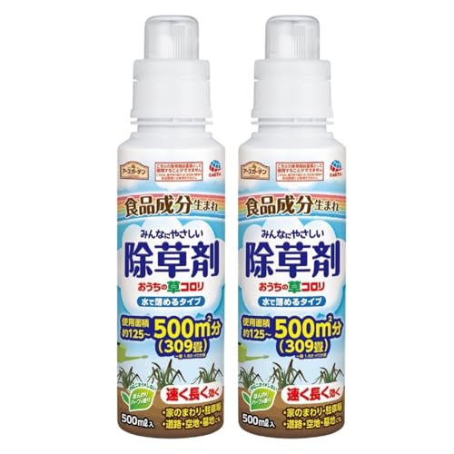  ̑R Ŕ߂^Cv 500ml×2_  t t ƒ؉ | K[fjO G 