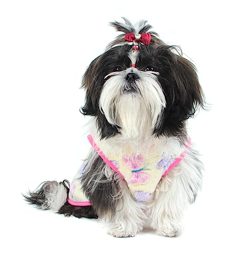 Pickorruchos My Dream Heart Para Cães - Tamanho 06