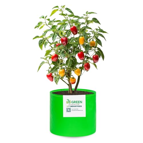 Image of HDPE Grow Bags 18X18 Inch (Pack of 1) | 260 GSM Plant Grow Bags UV-Protected Garden Bag | Growbags for Plants Terrace Gardening | Heavy Duty Plant Bag