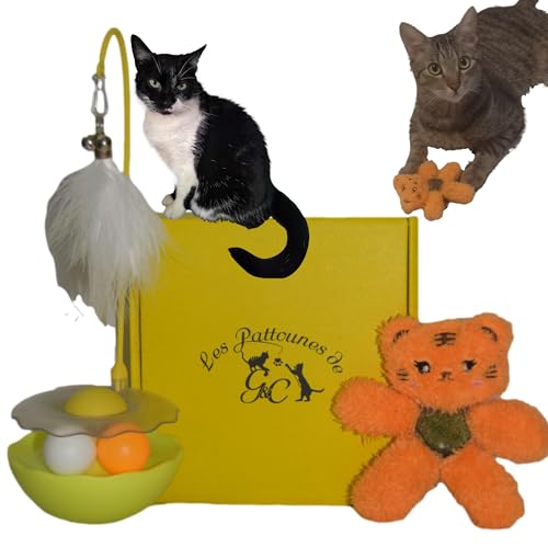 Les pattounes de G&C Jouet Chat Interactif 2 pièces - Boîte Duo Spéciale Jeu - Peluche Herbe à Chat - Chaton- Intérieur - Stimulant
