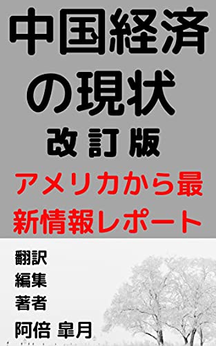 Kaiteiban Cyugokukeizai no genjyou amerika kara no saisinjyouhou report: Myoho DeepMax wo mite jyoho wo amerika kara urazukesuru (Japanese Edition)