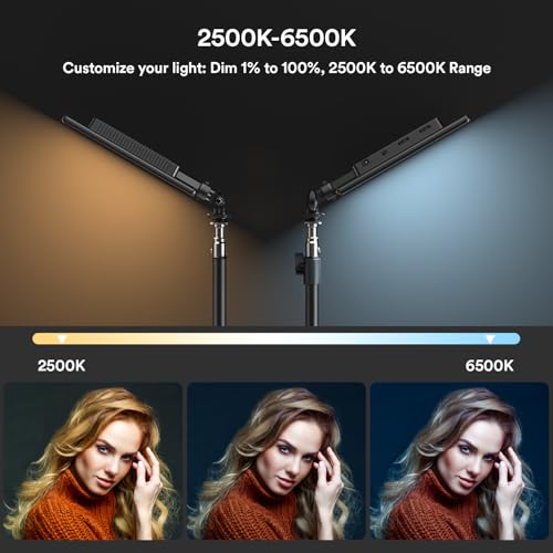 RALENO 13" LED Video Light Panel, 2-Pack Bi Color Photography Lighting Kit with 75" Stand & LCD Display, Studio Lights with 8000mAh Built-in Battery for Video Recording/Tiktok Live Streaming/Game