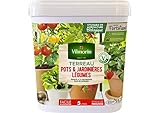 Vilmorin