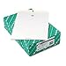 ENVELOPE CLASP10X13WE 28#