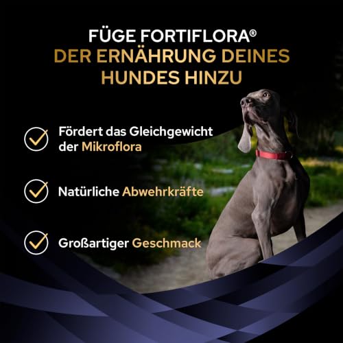 Pro Plan Forti Flora, Ergänzungsfuttermittel für Hunde zur Unterstützung der Darmgesundheit, Mit Probiotika, 30x1g