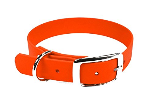 LENNIE BioThane Halsband, Dornschnalle, 25 mm breit, Größe 38-46 cm, Neon-Orange, Aufdruck möglich