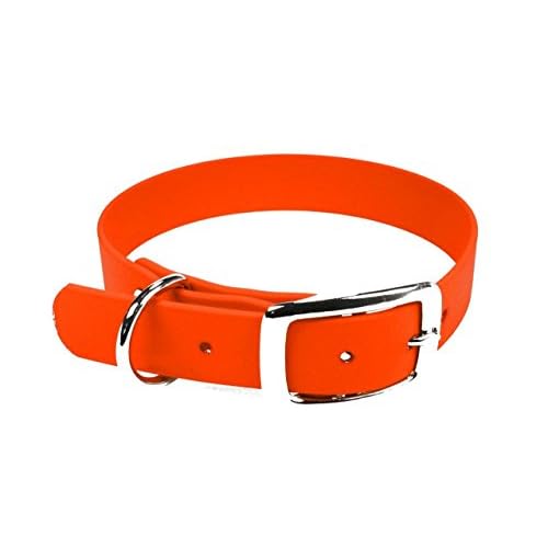 LENNIE BioThane Halsband, Dornschnalle, 19 mm breit, Größe 30-36 cm, Neon-Orange, Aufdruck möglich