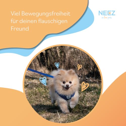 NEEZ Basic Geschirr für Katzen und kleine Hunde mit Leine | Super Bequeme Hundeweste | Ausbruchsicher und atmungsaktiv | Farbe: Grau Größe: S