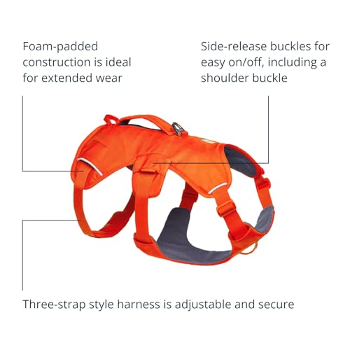Ruffwear Web Master Hundegeschirr, Y-Front-Hundegeschirr mit Griff und verbesserter Schnalle, verstellbar und leicht für Spaziergänge und Wanderungen, fluchtsicher, kein Ziehen, Blaze Orange, Größe S
