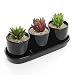 Black Ceramic Contemporary Design Succulent Plant Holder Display Set w/ 3 Pots & 1 Water Draining Tray