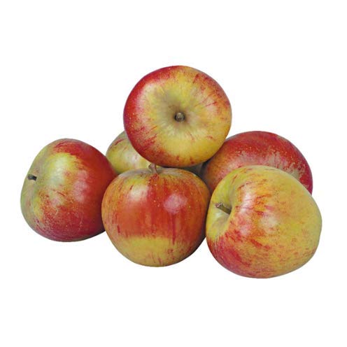 Cox Orange Äpfel süß säuerlich vom Bodensee. 5 kg Box, Ernte 2019