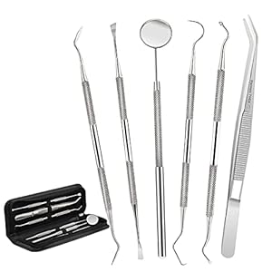 Dental Tools,Patekfly Stainless Steel 6 Pack Dental Pick Dental Floss, Dental Hygiene Tool Set,Tooth Scraper Plaque Tartar Remover Dental Tweezers Gum Floss for Personal Oral Care & Pet Use