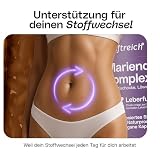 Leber Komplex – mit Mariendistel (80% Silymarin), Artischocke, Löwenzahn & Cholin – 240 Kapseln – hochdosiert, ohne Zusätze, im Apothekerglas, laborgeprüft, in Deutschland produziert – kraftreich®