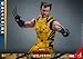 Hot Toys Wolverine (Deluxe Version) - Sixth Scale Figure