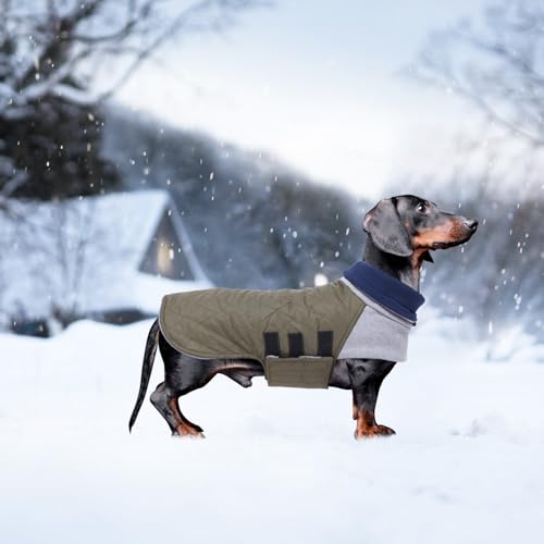 Geyecete Hundemantel Dackel, Dackel Wintermantel, Warmer Quilten Dackelmantel mit Geschirr Loch,Winddicht Rollkragen Hundejacken, Miniatur Dackel Weste für kleine Hunde-grün-S