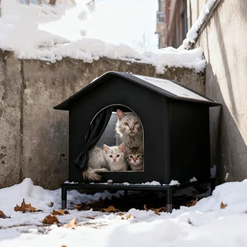 [Cm] OLLbgnEX LnEX O ybgnEX ubN1 ~ h J悯 h hJ S q ǔL  L AEghA hAJ[et g ~΍ ǔLVF^[ L̉ƃeg ܂肽ݎ lGʗp ݕth