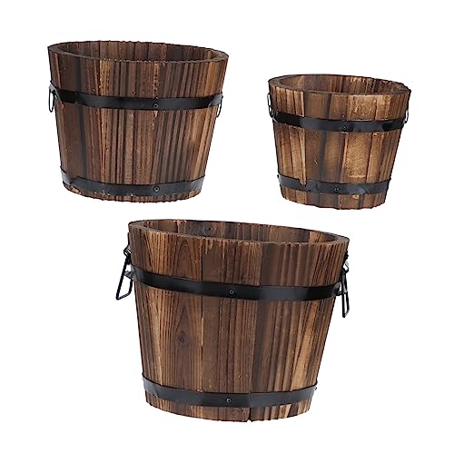 Plantes succulentes : évitez l'excès d'eau avec ces pots en bois - 2