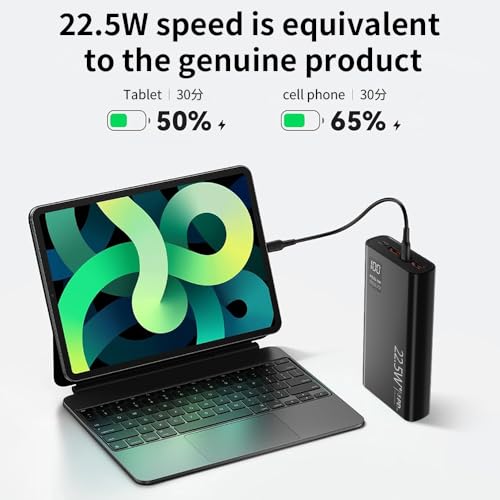 FUNNYPANDA Power Bank 20000mAh con USB-C 22.5W miniatura 2