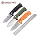 GANZO Firebird F720 Pocket Folding Bowie Knife 440C Stainless Steel Blade G-10 Handle with Clip Hunting Fishing Camping Outdoor EDC Knife (Balck)
