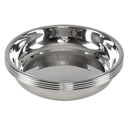 Fabnati Set of 4 Stainless Steel Plates for Eating, Round Camping Serving Plate Set