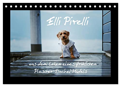  Elli Pirelli... aus dem Leben eines fröhlichen Pinscher-Dackel-Mädels (Tischkalender 2026 DIN A5 quer), CALVENDO Monatskalender: ... aus dem Leben eines fröhlichen Pinscher-Dackel-Mädels