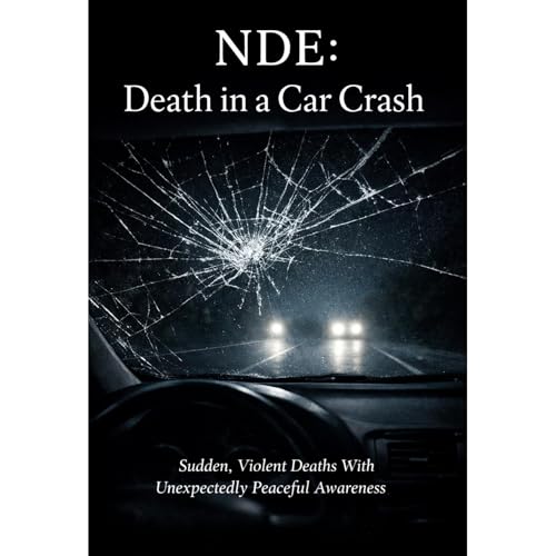 NDE: Death in a Car Crash Audiolibro Por Maxine Wells arte de portada