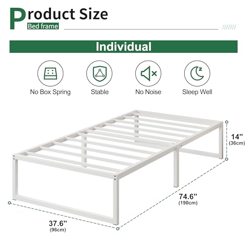 Recopilación de Box Individual para comprar hoy. 8 Imagen adicional