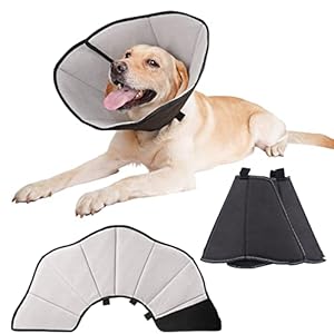 Collarín para perro con protección contra fugas, collar de protección suave, collar cónico ajustable, collar de recuperación transpirable, para mascotas, isabelino, negro M