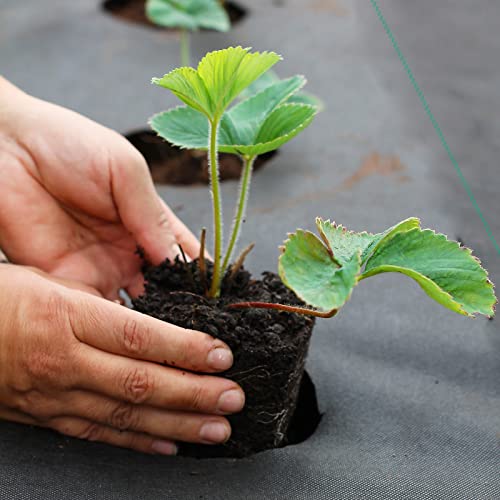 Land Guard Garden Weed Barrier Fabric - High Density Woven Landscape Fabric - Premium Heavy Duty Weed Mat Fabric - Weed Blocker Fabric - Suitable For Landscaping(3Ft×50Ft… #TOP4