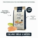 Ver la foto 2