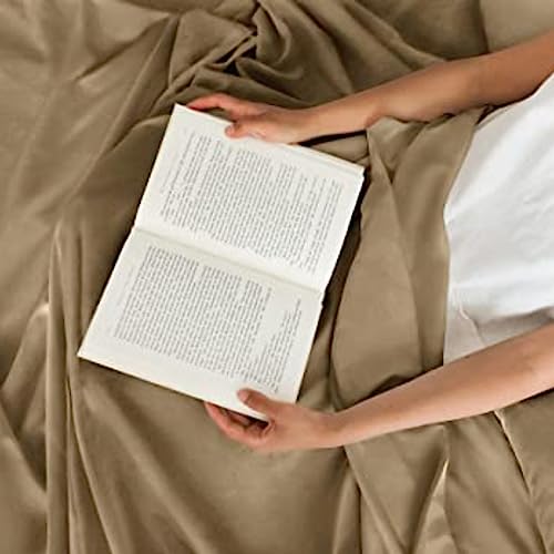 Image of Flat BedSheet with 2 Pillow Covers 600 TC 100% Egyptian Cotton Bedsheet Comfortable & Durable Hotel Quality Sheet (Queen 90x102, Beige)