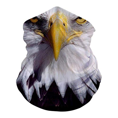American Eagle Face Mask 3D Seamless Half Face Bandanas Balaclava