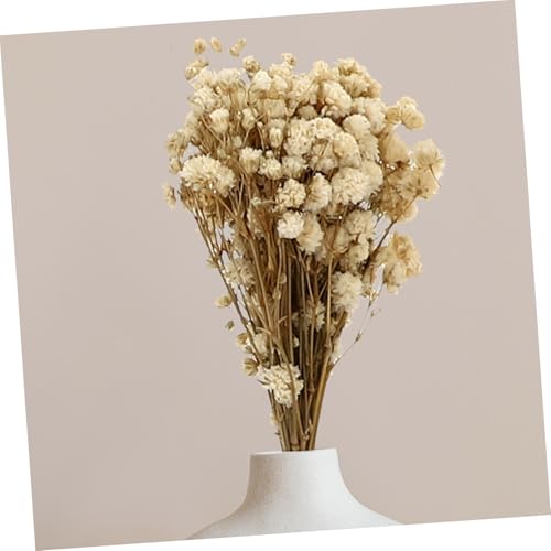 6 ramos creativos de flores secas para decoración miniatura 3