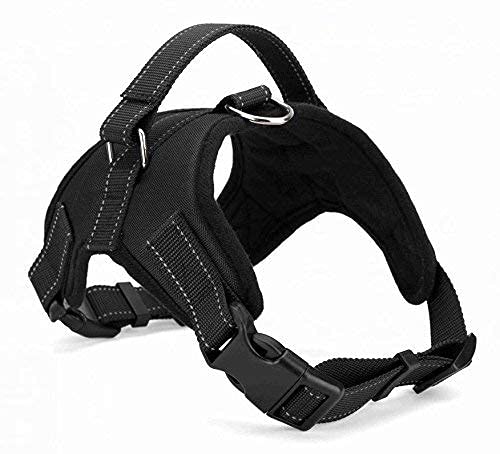 KittuPet Dog Harness, Easy Control Chest Body Belt for Pets. Black, Medium Size, Choke-Free Double Padded Vest with Adjustable Neck and Chest. Reflective Soft Breathable Mesh (Girth inch: 21"- 26"). (B0BFP2S4D8) Amazon Price History, Amazon Price Tracker