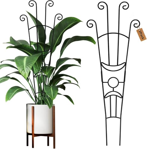 2Pcs Rankgitter 82cm hoch Rankhilfe Pflanzenstütze für...