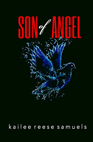Son of Angel (SONS Series Book 2)