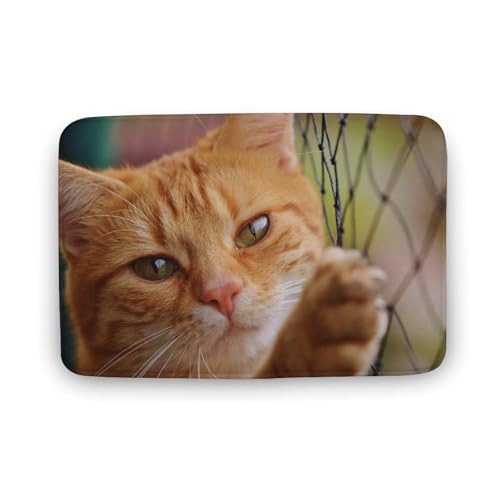 L   oX}bg   z փ}bg  O   \ ~ Aj LN^[ @}bg   ʏ