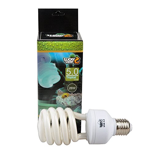 Ampoule compacte fluorescente pour reptile UVA/UVB, ampoule 5.0, 13 W, 26 W Cover
