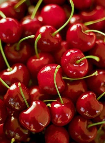 See full amazon price history chart for Cherry fruit seeds | organic fruit seeds | organic Red sweet cherry seed For Your Garden and home planting Pack of 5 seeds Cherry fruit seeds | organic fruit seeds | organic Red sweet cherry seed For Your Garden and home planting Pack of 5 seeds (B0C3XT9381) Amazon Price History, Amazon Price Tracker
