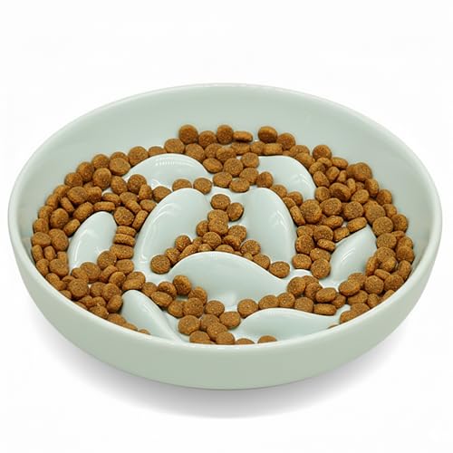 Cilkus Anti-Bloat Ceramic Slow Feeder Bowl - Fish Pool Design Interactive...