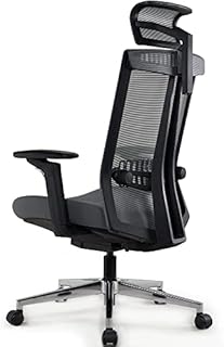 REALM OF THRONES - COMMODORE - Ergonomic Office Chair, Mesh Back Heavy Duty Home Office Desk Chair with Ultra-Thick Seat Cushion, 3D Lumbar Support, Adjustable Armrests/Headrest/Tilt Tensioner (Black)