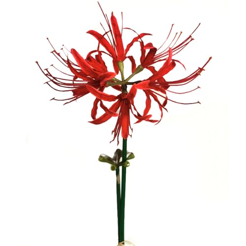 Qingriver Lycoris - 6 set di 67 cm di fiori artificiali a forma di giglio, per decorare casa, giardino, matrimoni, feste, colore: rosso
