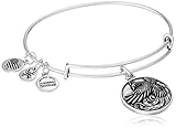 Alex and Ani Phoenix Expandable Rafaelian Bangle Bracelet