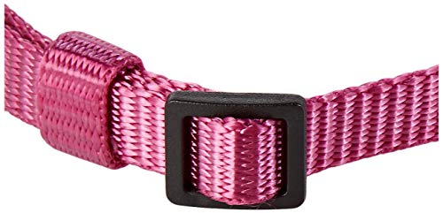 Nobby Halsband Classic, Himbeere L: 20-35 cm, B: 10 mm, 1 Stück